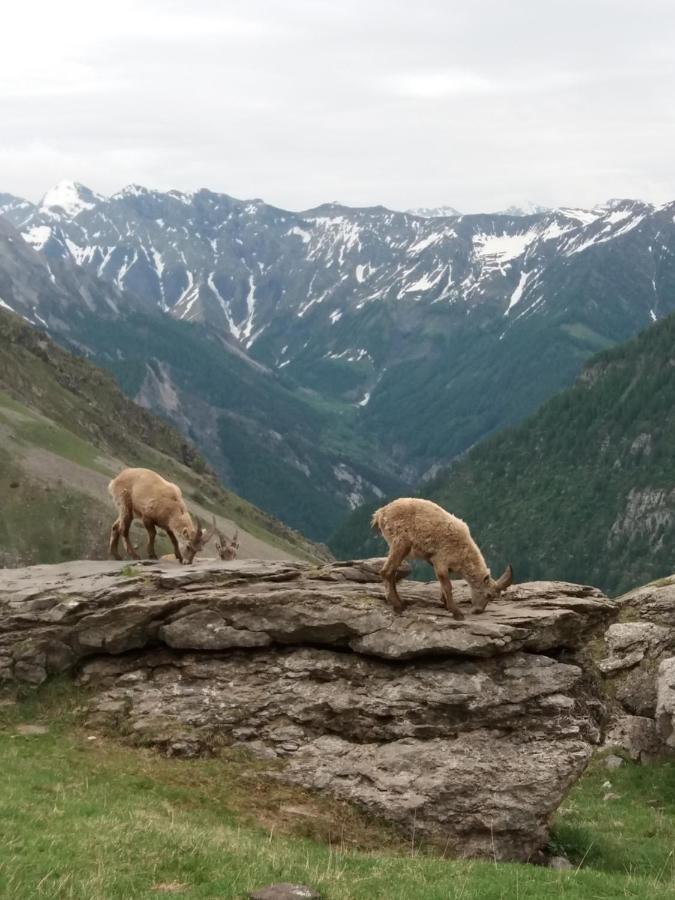 Vacances A La Montagne Saint-Julien-en-Champsaur Exterior foto